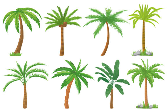 Download Palm Trees - Palm trees Collection